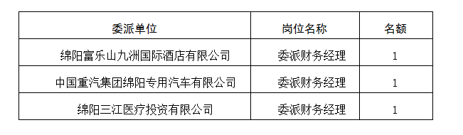 委派財務經(jīng)理5.11